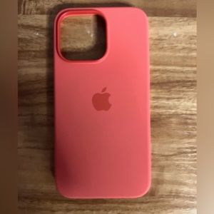 iPhone 13 Pro apple case